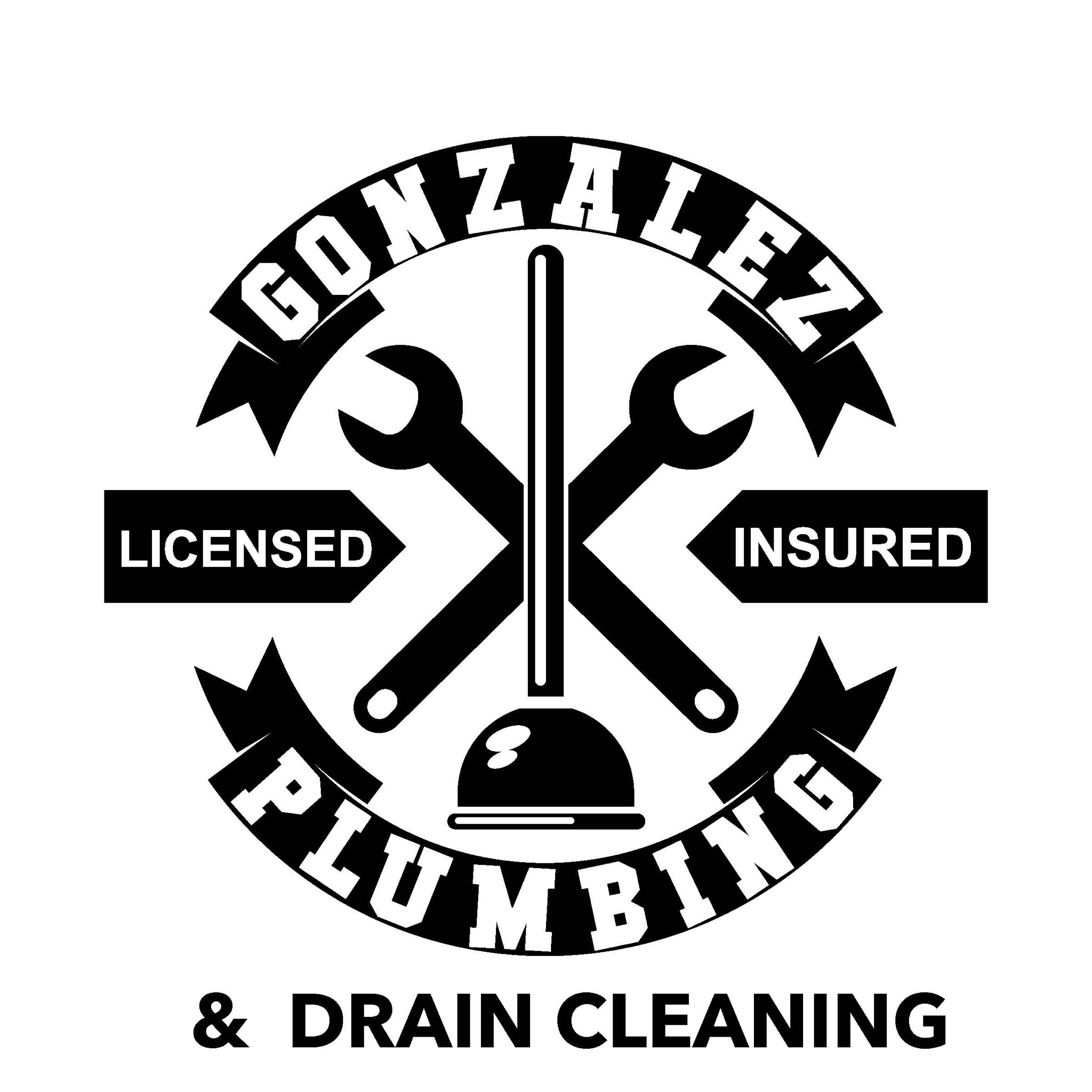 Professional Plumber